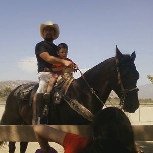 Meet your Posher, Ivan